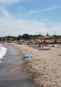 Βασιλικόν Πύργου