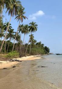 Koh Rongin saari