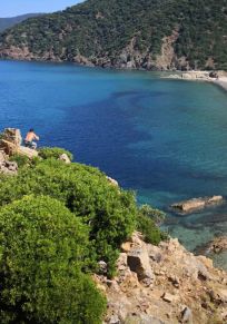 Επαρχία Τζιτζέλ