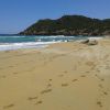 Plage De Sable Doré
