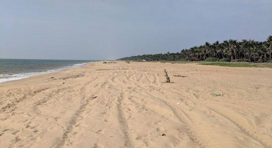 Udappuwa Beach