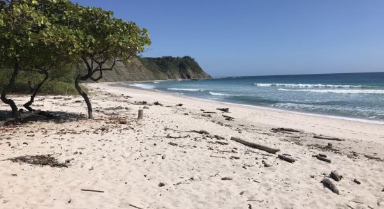 Playa Barrigona