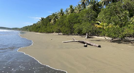 Playa Uvita