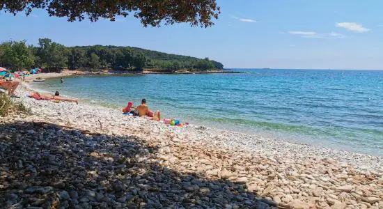 Cisterna-ranta