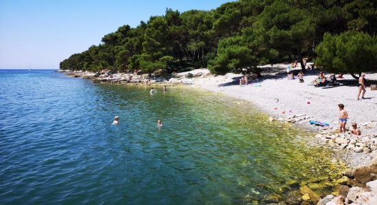 Paltana beach