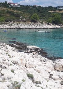 Zecevo