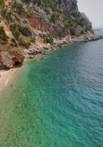 Popovici