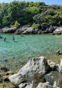 Barcici