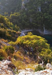 Šoltan saari