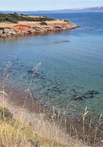 Isola di Puntadura