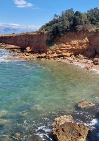 Insula Vir
