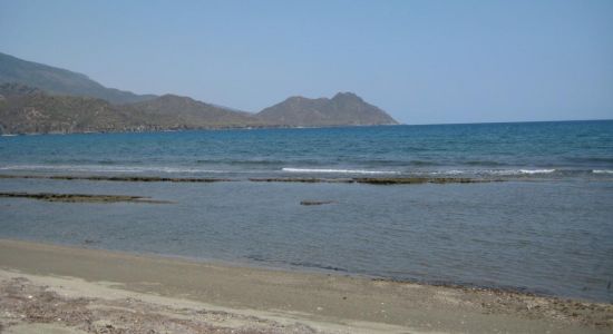 Playa Cardenero