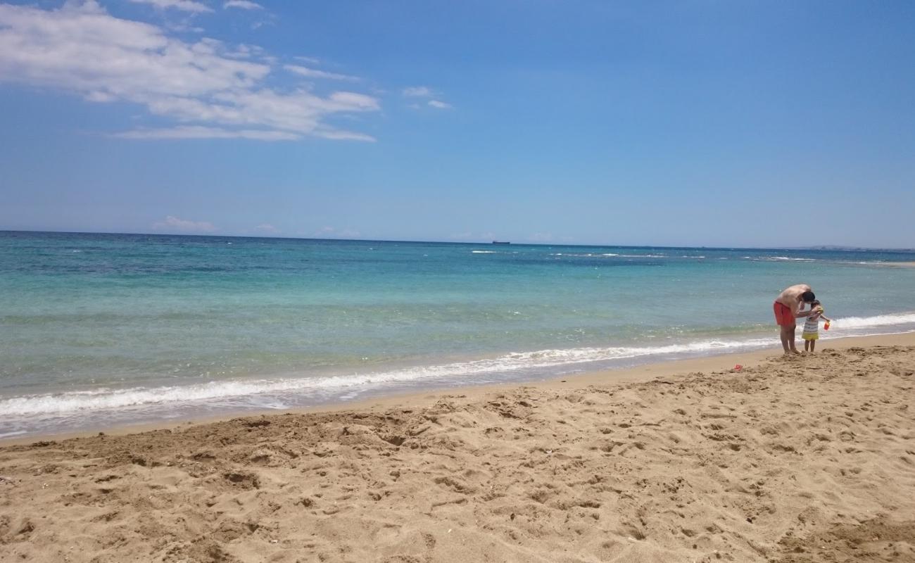 Plaża Salamis