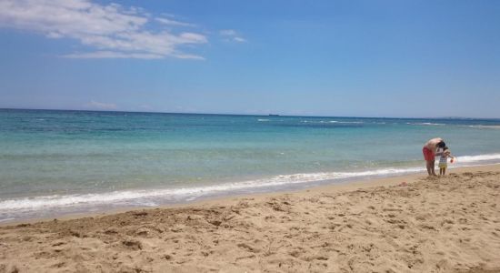 Plaža Salamis