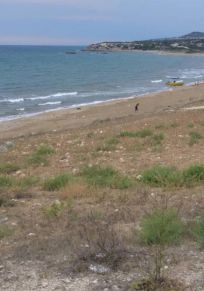 Galinoporni