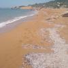 Marali Beach