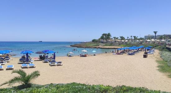 Polyxenia Beach