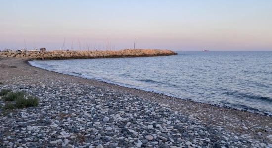 Zygi Marina Beach