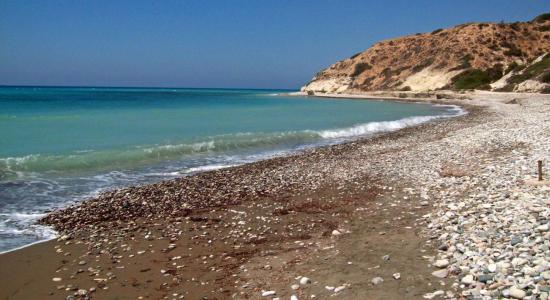 Ranti Forest Beach