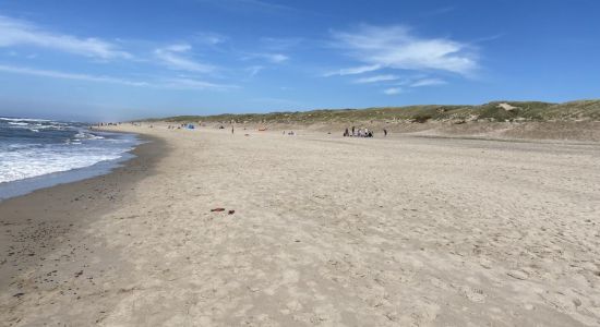 Sondervig Beach