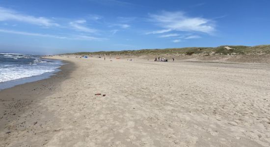 Sondervig Beach