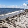 Elsehoved Beach