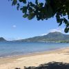 Coconut Beach