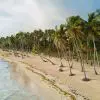 Playa Miguelito