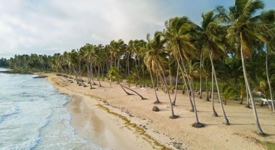 Playa Miguelito