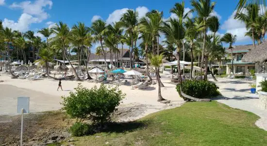 Praia de Caleton