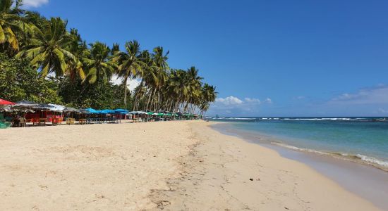 Guayacanes beach