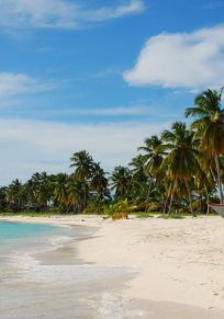 Ilha Saona