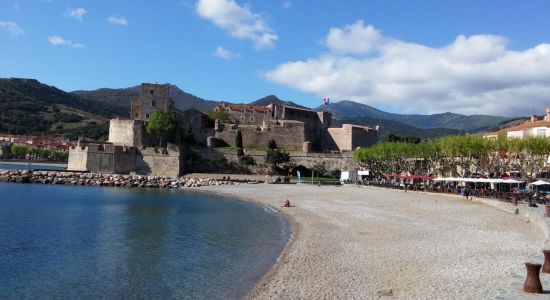Strand van Collioure
