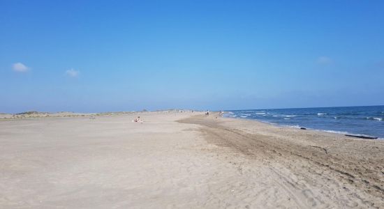 Plaża Espiguette