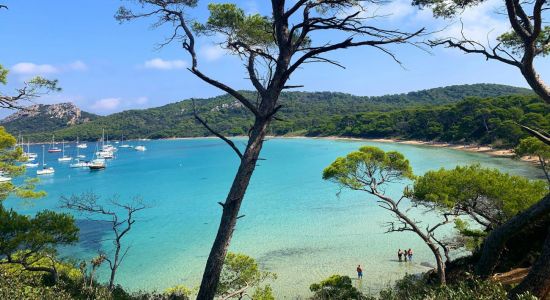 Top beaches in Provence-Alpes