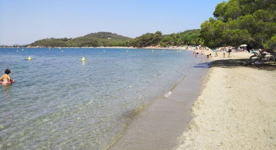 Spiaggia Pellegrin
