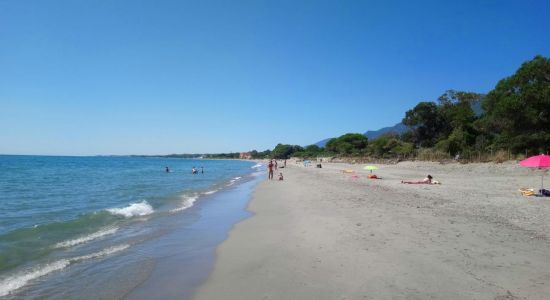 Ponticchio beach