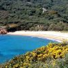 Cala Di Fico