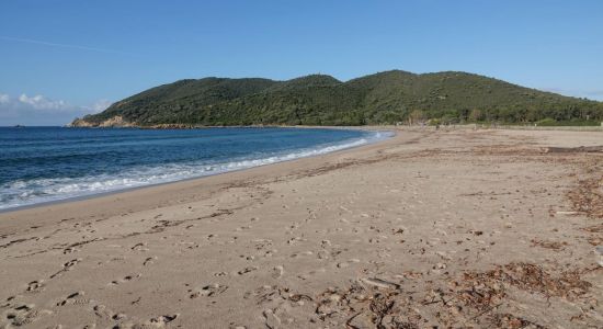 Plage De Chiuni