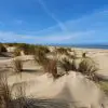Plage du Galon d'Or