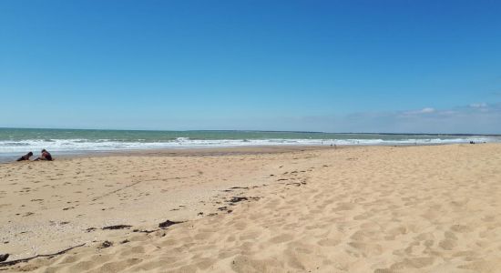Terriere beach