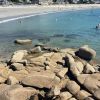 Plaża Trebeurden