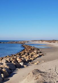Camargue