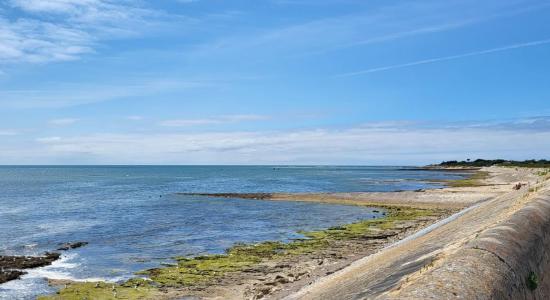 Plage de la Pointe de Grignon