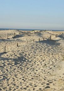 Dipartimento del Nord