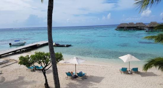 Hilton Moorea