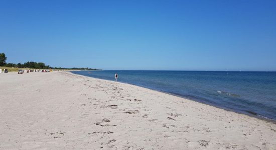 Plaża Kronsgaard