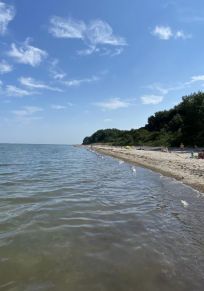 Gross Schwansee
