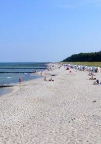 Zingst
