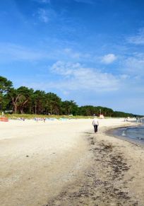 Prora
